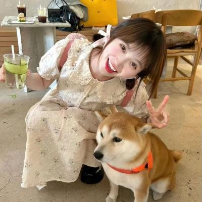 法国小调